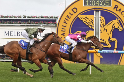 METROPOLITAN SUCCESS FOR ROYAL SNITZEL..
